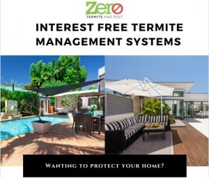 Afterpay Termite Protection